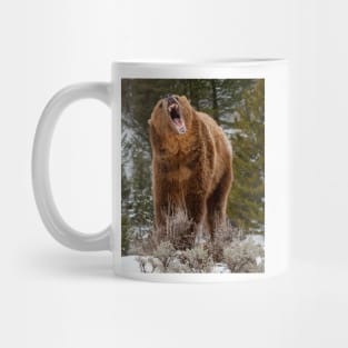 Grizzly Bear Mug